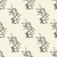 Apples Seamless Pattern In Modern Style. Hand Draw Fruit Texture.
