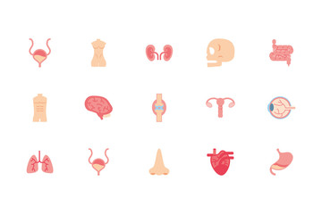 Canvas Print - isolated human body icon set vector design