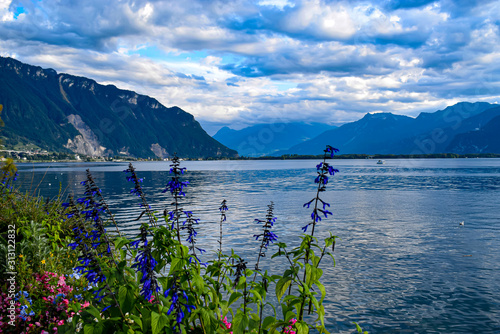 vue-sur-le-lac-leman-et-les-montagnes-a-travers-des-fleurs-de-montreux-en-suisse