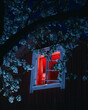 © Atte Tanner - Mysterious red light in cabin window at night