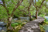 Fototapeta Fototapety pomosty - Drewniany pomost w parku Krka w Chorwacji