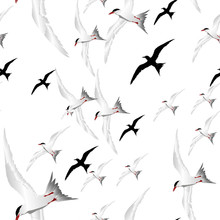 Birds. Seamless Vector Pattern Image. White Background.