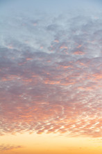 Pink Sky With Feather Clouds