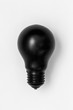 © Volodymyr Herasymov - Lightbulb painted with black matte paint on white background