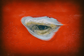 Wall Mural - The human eye on a red wall, Havana - Cuba