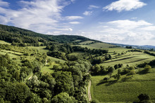 Aerial View Of Green Forested Hills And Vineyards