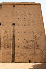 Wall Mural - ancient egyptian architecture ruins. hieroglyphs and columns of the Temple of Horus at Edfu, in Egypt