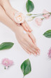 © Parilov - Top view cosmetic cream on female hands with pink flowers on white background, flat lay. Concept spa skin care