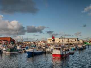 Wall Mural - Fishing vessels in Thyboroen harbor in West Denmark