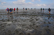  hiking along the bottom of the sea is completely mud at low tide. Traces of tourists feet in the mud at the bottom of the North Sea.