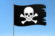 Black pirate flag human skull and crossbones vector illustration
