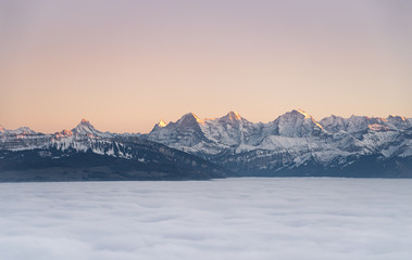 Wall Mural - swiss mountain range in switzerland while the valley is covered in fog during sunset, super warm lig