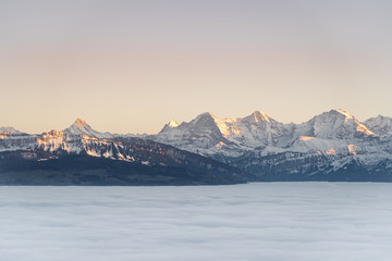 Wall Mural - swiss mountain range in switzerland while the valley is covered in fog during sunset, super warm lig