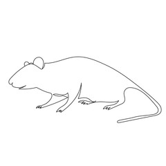 isolated, simple drawing with a continuous line mouse, rat