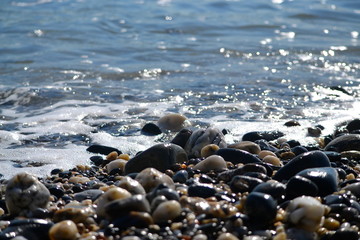 Wall Mural - Pebbly beach sea foam