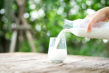Pouring Milk With A Jug In A Glass On The Background Of Nature.