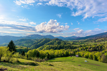 Carpathians countryside in springtime. wonderful sunny weather with dynamic cloud formations on the blue sky. forested rolling hill with rural fields in evening light. 