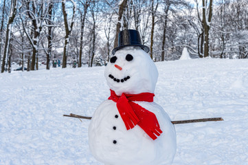 Snow man with red scarf, hat and carrot nose