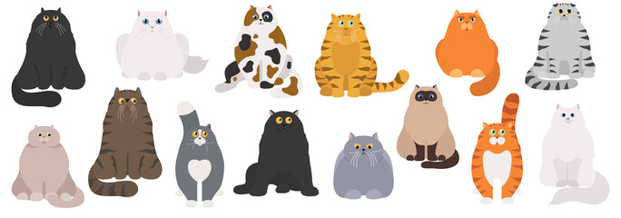 Cat poster. Cartoon cat characters collection. Different cat`s poses and emotions set. Flat color simple style design