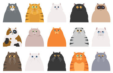 Cat poster. Cartoon cat characters collection. Different cat`s poses and emotions set. Flat color simple style design