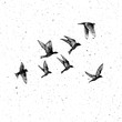 © desertsands - Set of black hand drawn strokes birds, flock. Drawing sketch. On textured Abstract grainy texture dust stain particles like stipple. Inspirational body flash tattoo ink.  Vector.