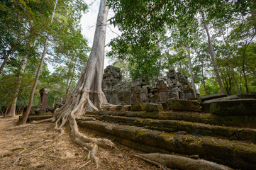 Ta Prom ,arbres ,racines et temple