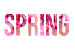 Pink blossom font word SPRING made of sakura flowers on white background with paper cut shape of letter. Collection of flora font for your unique decoration in summer