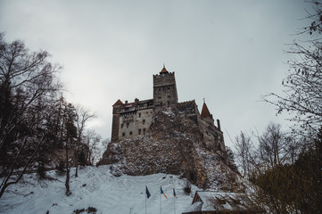 Wall Mural - Bran Castle also known as 