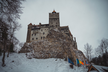 Wall Mural - Bran Castle also known as 