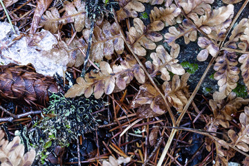 Under foot