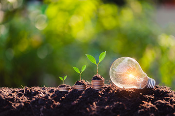 light bulb,with coin stack, energy sources for renewable,natural energy and love the world concept.