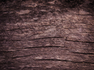 wood texture background for design