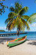 Wooden boat under a palm tree on the on tropical beach - the caribbean island of Martinique