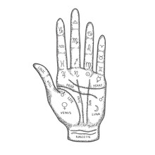 Palm With The Image Of Lines And Signs Of The Zodiac, Planets. Palmistry. Vector Illustration In Vintage Style.