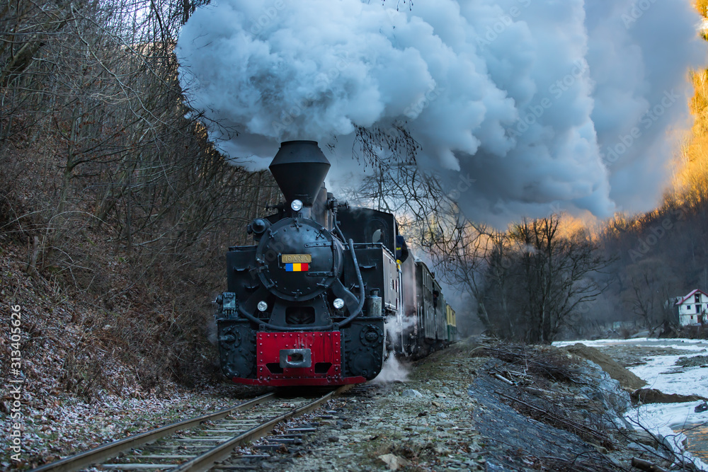 Steam train puffing along the tracks - obrazy, fototapety, plakaty 