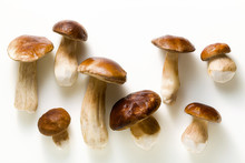 White Beautiful Big Porcini Mushrooms On A White Background