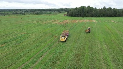Wall Mural - Aerial video. Rolling haystacks in countryside on the field on a cloudy day. Tractor loading hay bales on truck trailer during agricultural works. 