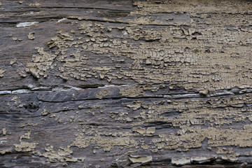 abstract picture with wood texture