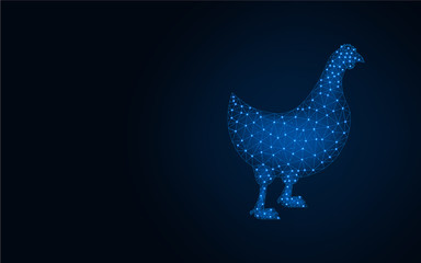 Wall Mural - Chicken low poly design, rural poultry wireframe mesh polygonal vector illustration made from points and lines on dark blue background