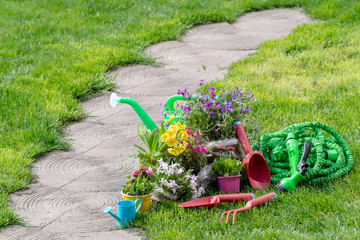 Gardening tools and flowers in the garden