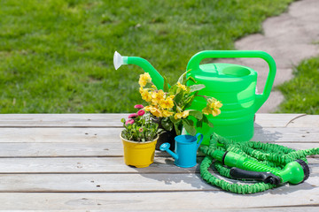 Wall Mural - Gardening tools and flowers in the garden