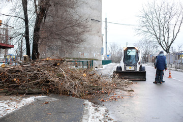 Urban emergency service removes a fallen tree on a road with special equipment traktor.