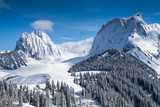 Fototapeta Góry - swiss alps during winter with mountains and trees covered with snow