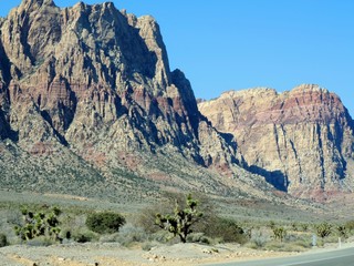 Nevada landscape