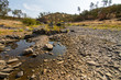© MikeFusaro - river during drought very low water .