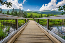 Wooden Walking Path For Hiking In The Wilderness In Front Of Mount Washington In New Hampshire