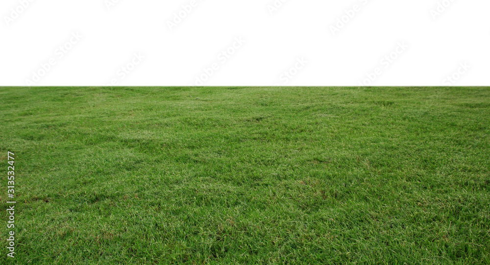 fresh green grass lawn isolated on white background - obrazy, fototapety, plakaty 