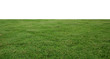 canvas print picture - fresh green grass lawn isolated on white background