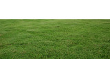 Fototapeta Sypialnia - fresh green grass lawn isolated on white background