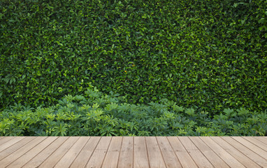 Wall Mural - wood flooring in a green plant garden decorative
